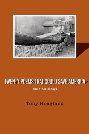 Twenty Poems That Could Save America and Other Essays by Tony Hoagland