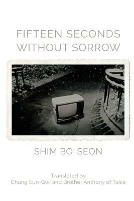 Fifteen Seconds without Sorrow by Shim Bo-Seon