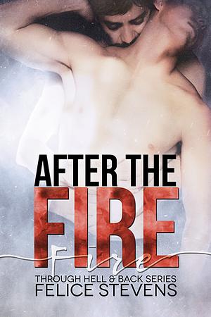 After the Fire by Felice Stevens