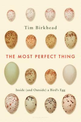 The Most Perfect Thing: Inside (and Outside) a Bird's Egg by Tim Birkhead