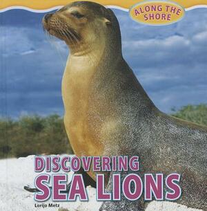 Discovering Sea Lions by Lorijo Metz