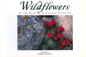 Wildflowers of the Plateau & Canyon Country: Twenty Postcards by Susan Lamb