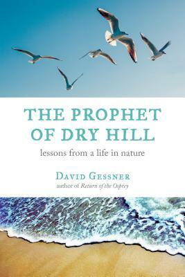 The Prophet of Dry Hill: Lessons from a Life in Nature by David Gessner