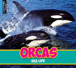 Orcas by Heather Kissock