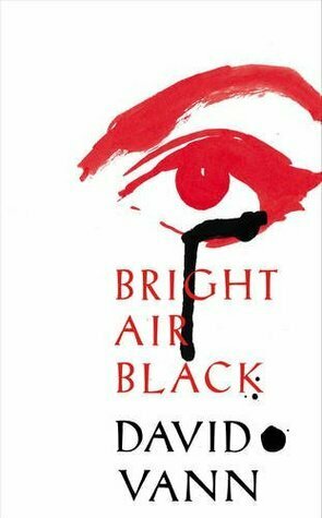 Bright Air Black by David Vann
