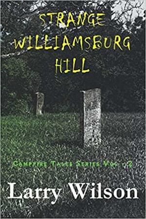 Strange Williamsburg Hill by Larry Wilson