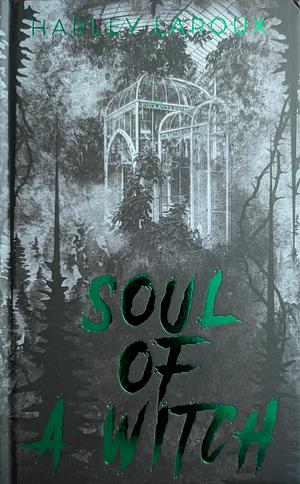 Soul of a Witch by Harley Laroux