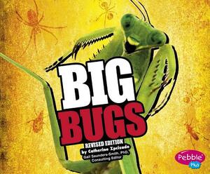 Big Bugs by Catherine Ipcizade