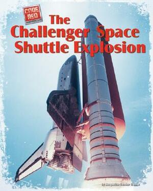 The Challenger Space Shuttle Explosion by William Caper