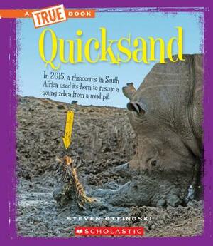 Quicksand by Steven Otfinoski