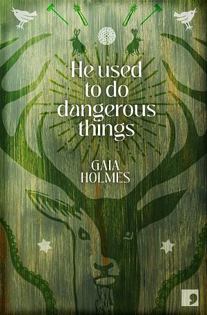 He Used To Do Dangerous Things by Gaia Holmes