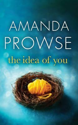 The Idea of You by Amanda Prowse