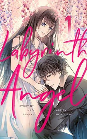 Labyrinth Angel (Light Novel) by nijyousyou, Nao Tamaki, Jackie McClure
