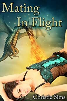 Ravished in Flight by Alara Branwen, Christie Sims