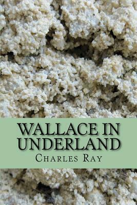 Wallace in Underland: An urban fantasy - with illustrations by the author by Charles Ray