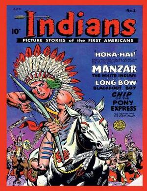 Indians #1 by Fiction House