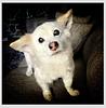 mary_clark's profile picture