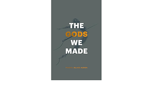 The Gods We Made by Blake Auden