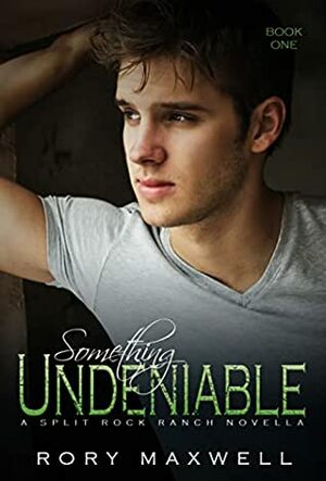 Something Undeniable by Rory Maxwell