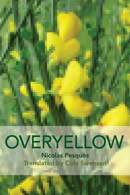 Overyellow: The Poem as Installation Art by Nicholas Pesques
