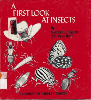 A First Look at Insects by Millicent E. Selsam