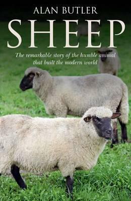 Sheep by Alan Butler