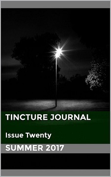 Tincture Journal Issue Twenty by Carmen Leigh Keates, Yen-Rong Wong, Luke Best, Johannes Klabbers, Steve Toase, Jane Williams, Tristan Foster, Shastra Deo, John Potts, Daniel Young, Stuart Barnes, Aidan Tan, Jennifer Compton, Alexandra O'Sullivan, Alison Flett, Nigel Featherstone, Peter Ninnes, Laura McPhee-Browne, Maria Saba, Barry Lee Thompson, Scott-Patrick Mitchell, Alice Allan, Paul Scully, Wayne Marshall, Rachael Guy