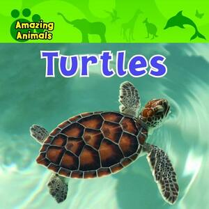 Turtles by Christina Wilsdon