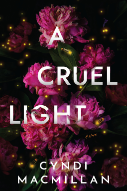 A Cruel Light by Cyndi MacMillan