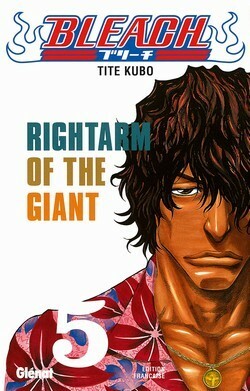 Bleach, Tome 5: Rightarm of the Giant by Tite Kubo