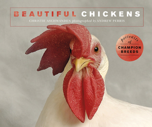 Beautiful Chickens: Portraits of Champion Breeds by Christie Aschwanden