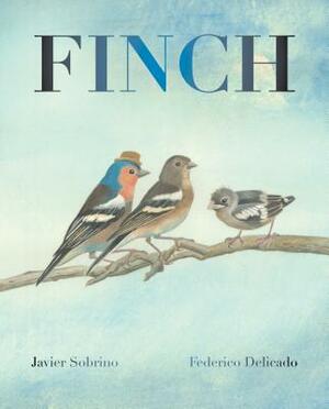 Finch by Javier Sobrino