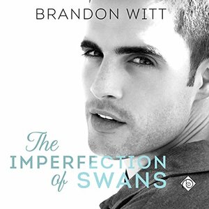 The Imperfection of Swans by Brandon Witt
