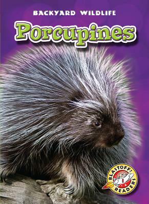 Porcupines by Emily Green