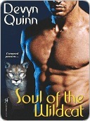 Soul of the Wildcat by Devyn Quinn