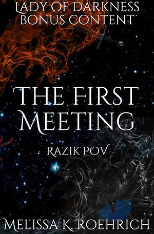 The First Meeting  by Melissa K. Roehrich