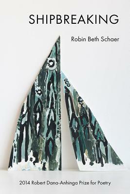 Shipbreaking by Robin Beth Schaer
