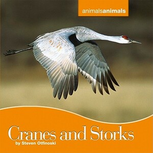 Cranes and Storks by Steven Otfinoski