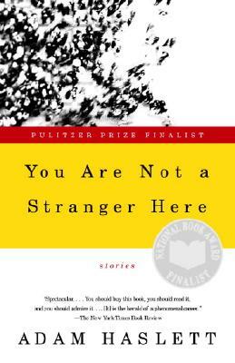You Are Not a Stranger Here by Adam Haslett
