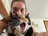 annevdh's profile picture