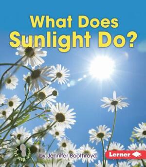 What Does Sunlight Do? by Jennifer Boothroyd