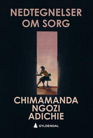 Nedtegnelser om sorg by Chimamanda Ngozi Adichie, Hilde Stubhaug