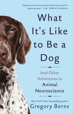 What It's Like to Be a Dog: And Other Adventures in Animal Neuroscience by Gregory Berns