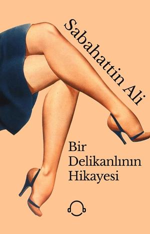 Bir Delikanlının Hikayesi by Sabahattin Ali