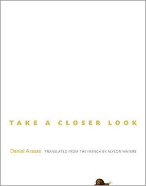 Take a Closer Look by Alyson Waters, Daniel Arasse