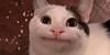 fsiw's profile picture