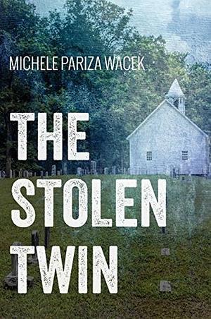 The Stolen Twin by Michele P.W., Michele Pariza Wacek