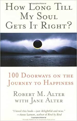 How Long Till My Soul Gets It Right?: 100 Doorways on the Journey to Happiness by Jane Alter, Robert Mark Alter