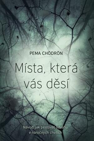 Místa, která vás děsí: Návod, jak pěstovat odvahu v náročných chvílích by Pema Chödrön