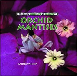 Orchid Mantises by Andrew Hipp